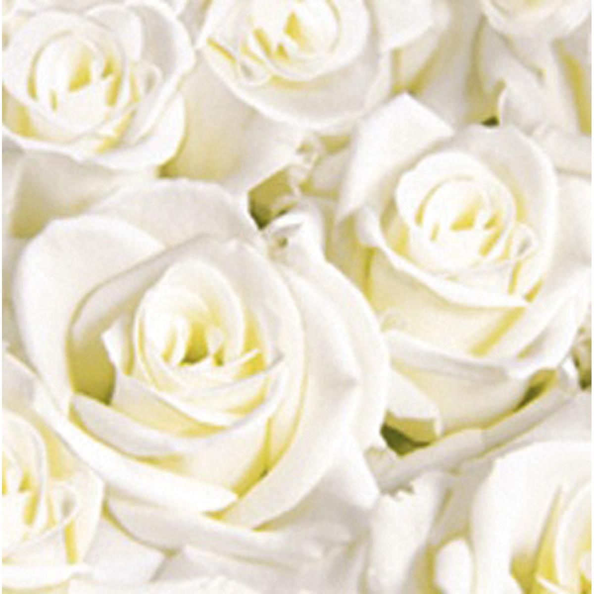 Dunisoft-Servietten 40 x 40 cm 1/4 Falz-zoom-6