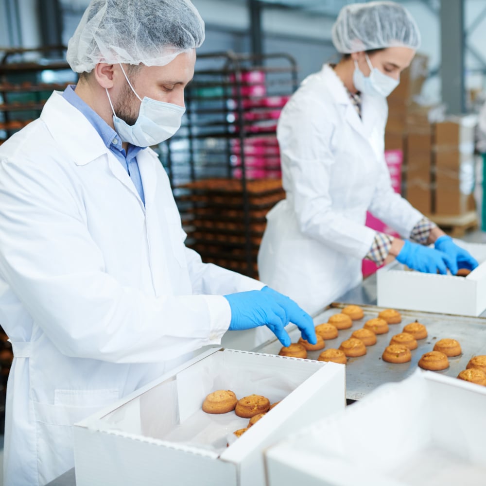 KleenGuard® G10 FleX Nitril-Handschuhe - 24 cm, beidhändig tragbar-zoom-7