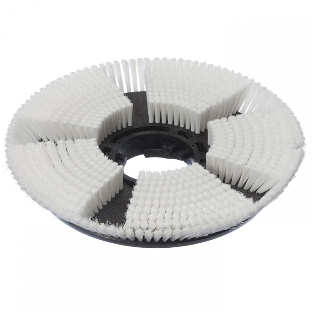 Trocken-Shampoonierbürste (43 cm), Trocken-Shampoonierbürste, Ø 43 cm, für TASKI ergodisc 165, duo | Packung (1 Stück)-1