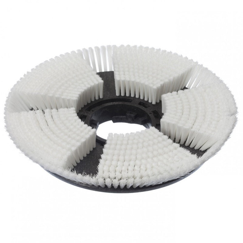 Trocken-Shampoonierbürste (43 cm), Trocken-Shampoonierbürste, Ø 43 cm, für TASKI ergodisc 165, duo | Packung (1 Stück)-zoom-