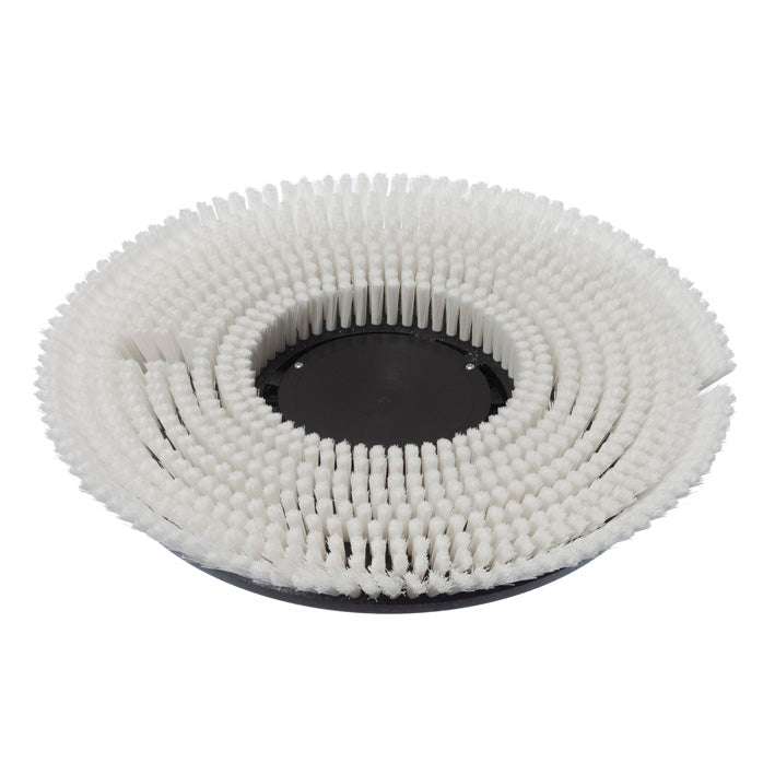 Nass-Shampoonierbürste (43 cm), Nass-Shampoonierbürste, Ø 43 cm, für TASKI ergodisc 165, 200, duo | Packung (1 Stück)